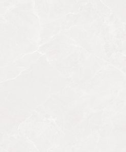 AMM 61203 A 1 scaled