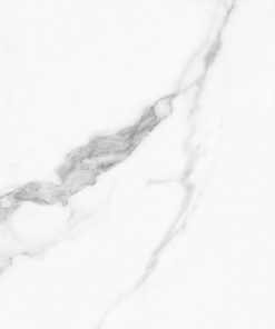 AMP 61202 A 1 scaled