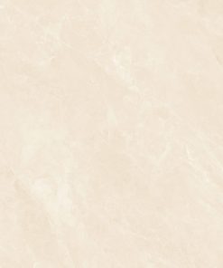 AMP 61207 A 1 scaled