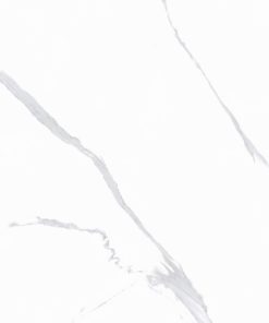 AMP 61209 A 1 scaled