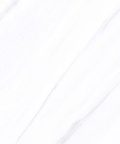 gach apodio 40x80 48811 1