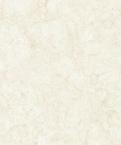 gach apodio 40x80 48812 1