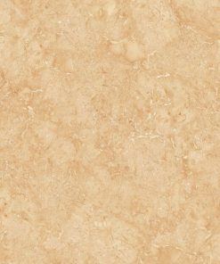 gach apodio 40x80 48912