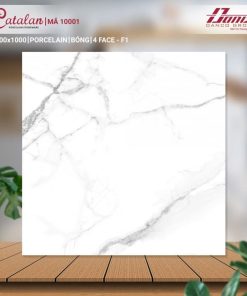 GẠCH CATALAN 100X100 MÃ 10001