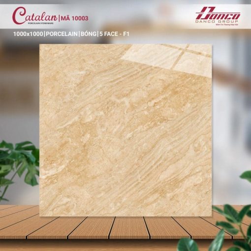 gach catalan 100x100 10003