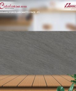 GẠCH CATALAN 30X60 MÃ 35103