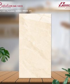 GẠCH CATALAN 60X120 MÃ 12019