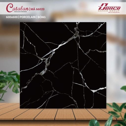 gach catalan 60x60 66020