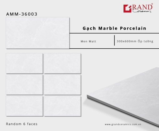 gach grand AMM 36003