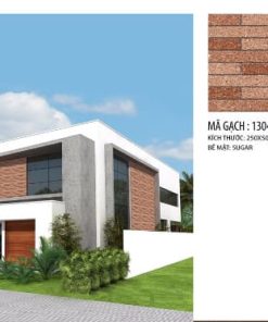 gach the 25x50 1304A