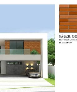 gach the 25x50 1305A