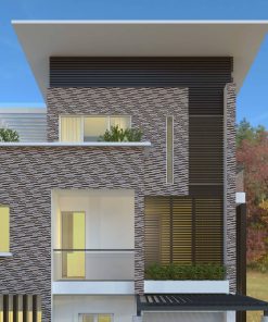 gach the 25x50 1855A scaled