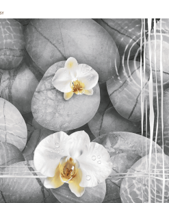 gach vitto 30x60 2555