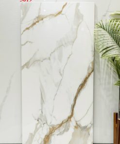 GẠCH ỐP LÁT VITTO 60X120 MÃ 3619