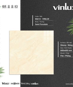 GẠCH ỐP LÁT VITTO 60X60 MÃ 06613