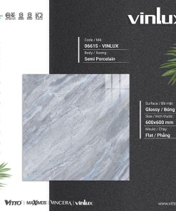 GẠCH ỐP LÁT VITTO 60X60 MÃ 06615