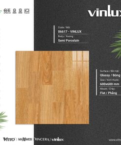 GẠCH ỐP LÁT VITTO 60X60 MÃ 06617