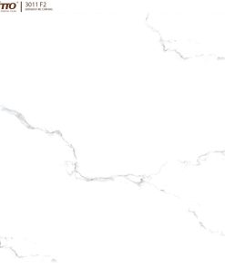 GẠCH ỐP LÁT VITTO 60X60 MÃ 3011F2