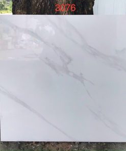 gach vitto 60x60 3076