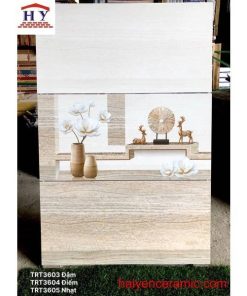 GẠCH ỐP LÁT TƯỜNG 300X600 CMC MÃ PT36803