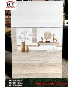 GẠCH ỐP LÁT TƯỜNG 300X600 CMC MÃ PT36803
