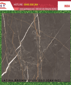 GẠCH NHẬP KHẨU ẤN ĐỘ 100X100 CAVING MÃ LATINA BROWN