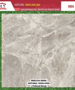GẠCH NHẬP KHẨU ẤN ĐỘ 100X100 MÃ BRECCIA SIENA NATURAL