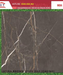 GẠCH NHẬP KHẨU ẤN ĐỘ 100X100 MÃ LATINA BROWN