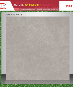 GẠCH NHẬP KHẨU ẤN ĐỘ 60X60 MÃ CARMEL GRIS
