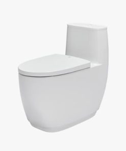 BỒN CẦU 1 KHỐI INAX AC-1052VN