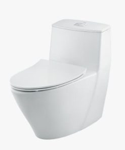 BỒN CẦU 1 KHỐI INAX AC-919VRN