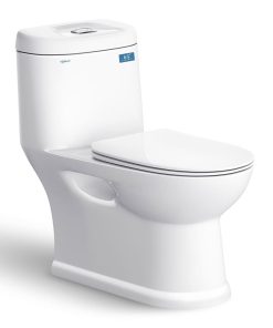 BỒN CẦU 1 KHỐI NANO TITAN VIGLACERA C109
