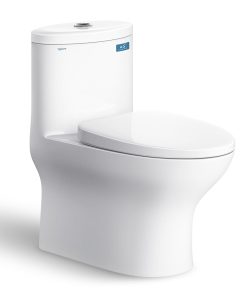 BỒN CẦU 1 KHỐI NANO TITAN VIGLACERA V37S