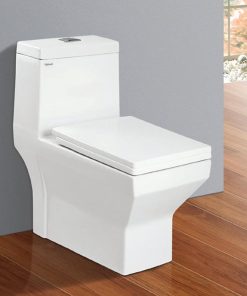 BỒN CẦU 1 KHỐI NANO TITAN VIGLACERA V42