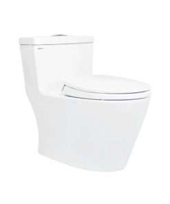 BỒN CẦU 1 KHỐI NANO TITAN VIGLACERA V62