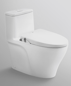 BỒN CẦU KẾT HỢP NẮP RỬA CƠ INAX AC-989-CW-S15VN