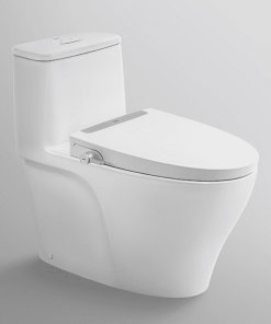 BỒN CẦU KẾT HỢP NẮP RỬA CƠ INAX AC-989-CW-S32VN