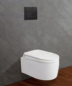 BỒN CẦU KET NƯỚC ÂM TREO TƯỜNG NANO TITAN VIGLACERA V55