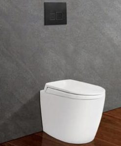 BỒN CẦU KÉT ÂM TƯỜNG NANO TITAN VIGLACERA V56