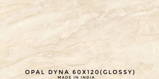 gach an 60x120 OPAL DYNA