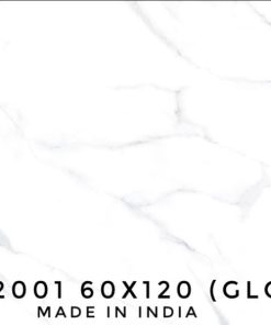 GẠCH NHẬP KHẨU ẤN ĐỘ 60X120 MÃ P6012001