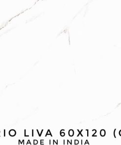 GẠCH NHẬP KHẨU ẤN ĐỘ 60X120 MÃ SATUARIO LIVA