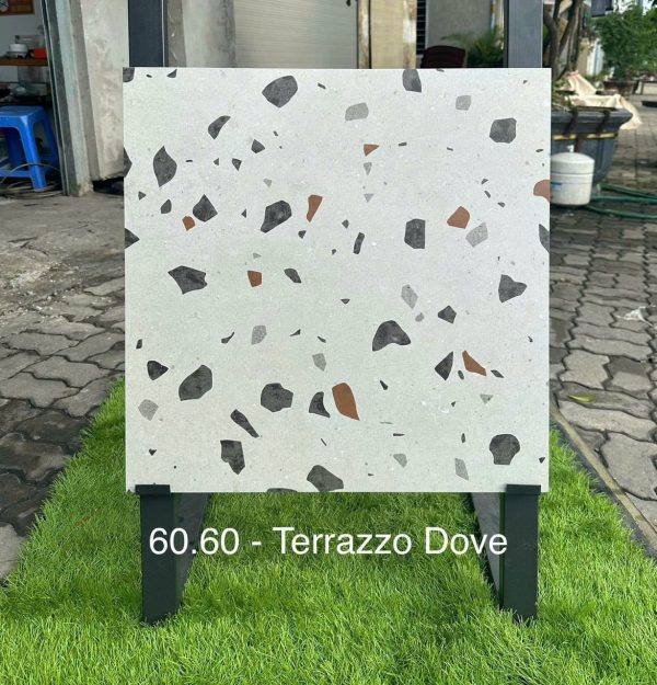 gach an 60x60 TERRAZZO DOVE