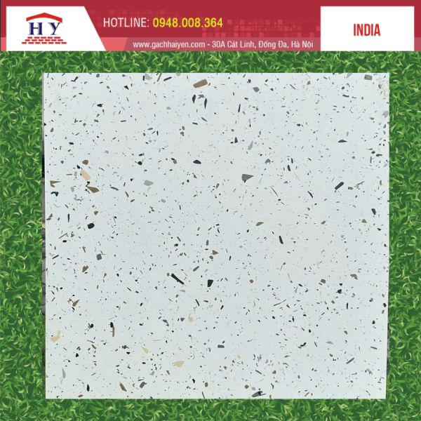 gach an 60x60 TERRAZZO WHITE 2