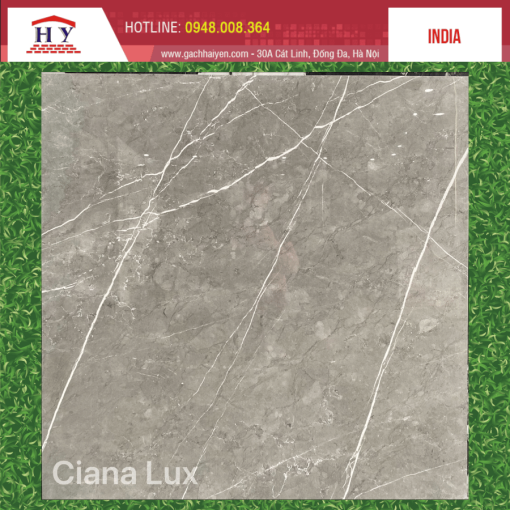 gach an 80x80 CIANA LUX