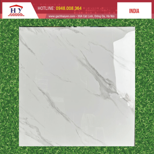 gach an do 100x100 Carrara Grey 2