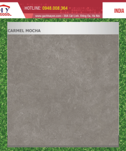 GẠCH NHẬP KHẨU ẤN ĐỘ 60X60 MÃ CARMEL MOCHA