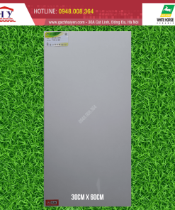 GẠCH ỐP LÁT BẠCH MÃ 30X60 MÃ PG3600