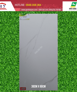 GẠCH ỐP LÁT BẠCH MÃ 30X60 MÃ PG3601