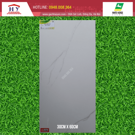 gach bach ma 30x60 PG3601